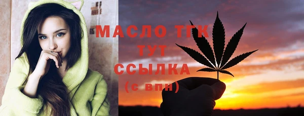 соль ск Алзамай