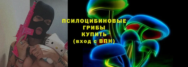 стаф Зерноград