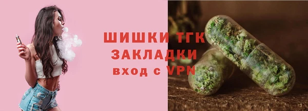 соль ск Алзамай
