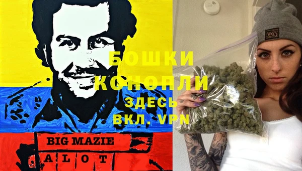 дурь Алексин