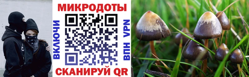 OMG вход  Большой Камень  Галлюциногенные грибы Magic Shrooms 
